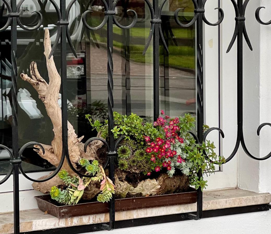 Bed & Breakfast Ameiserhof Collalbo
